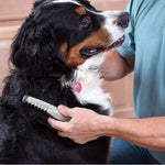 Ergonomiczne Narzędzie do Pielęgnacji Zwierząt - Usuwanie Kołtunów i Luźnego Futra dla Psów i Kotów 1