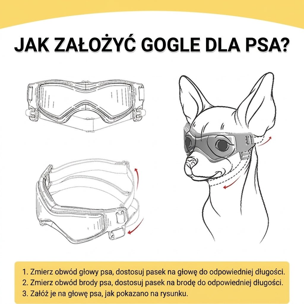 Gogle dla Psa z Ochroną UV – Regulowane Paski, Ochrona Oczu Podczas Jazdy i Aktywności na Zewnątrz 7