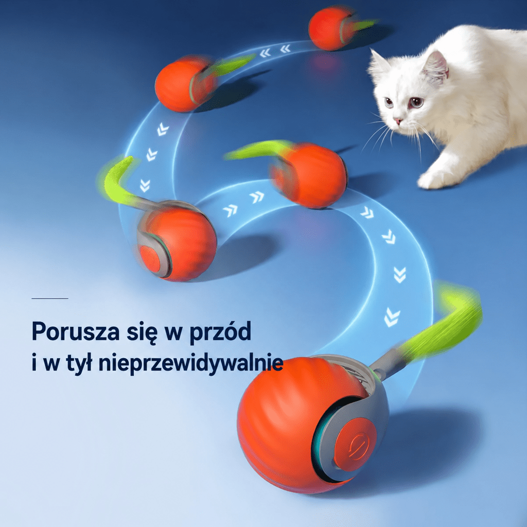 Interaktywna Zabawka dla Kota – Piłka z Ładowaniem USB-C, Wytrzymała i Szybka