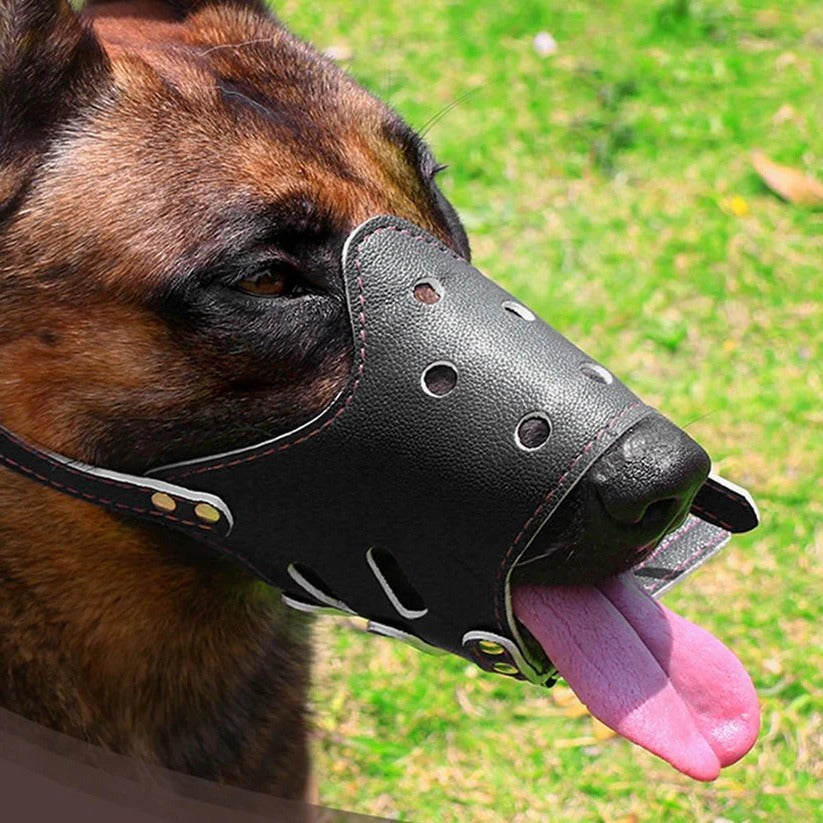 Kaganiec dla Psa - Oddychający Kaganiec Fizjologiczny z Regulacją, 4 Rozmiary 1
