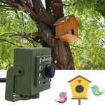Kamera WiFi HD 1080p do Obserwacji Gniazd Ptaków z Noktowizorem i Detekcją Ruchu 18