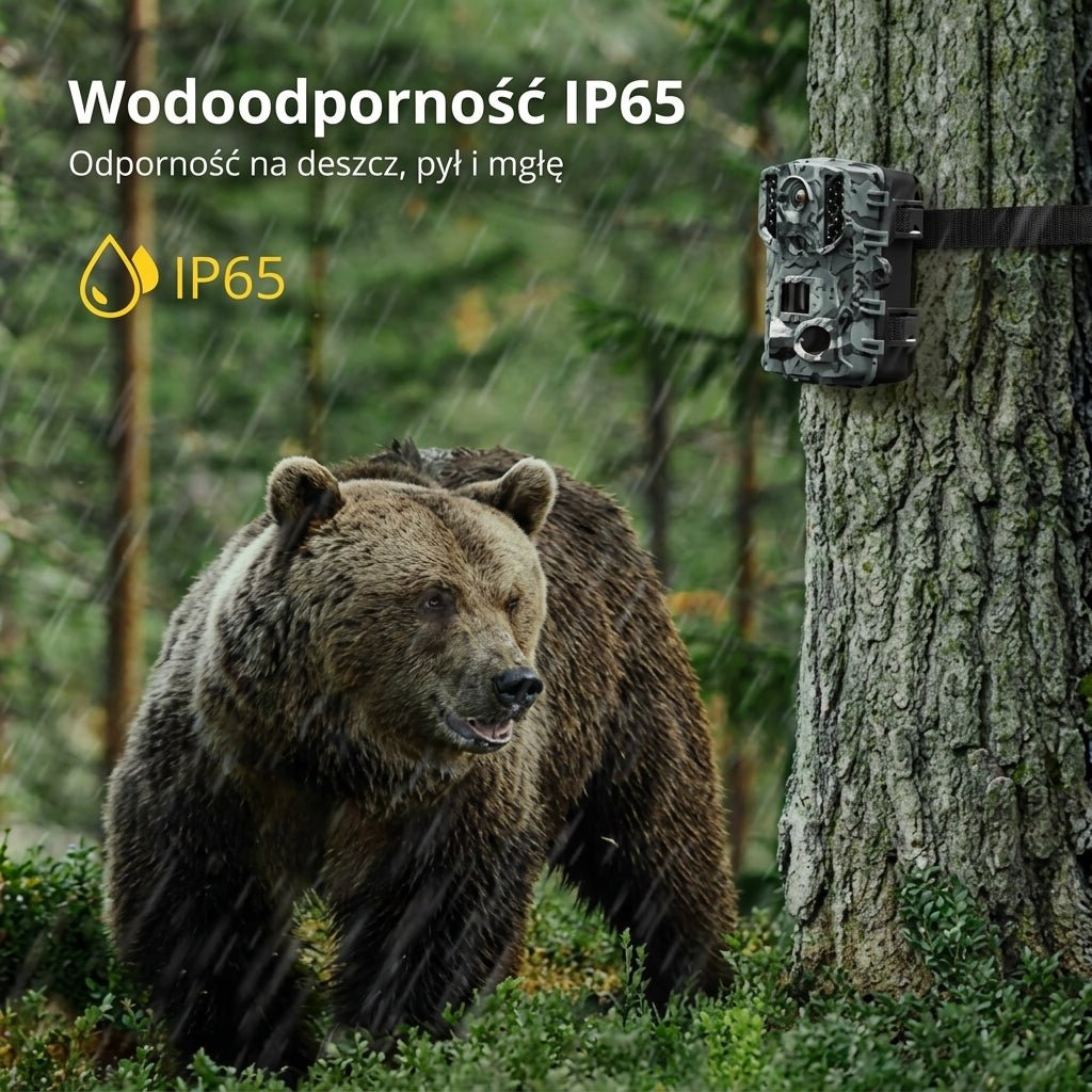 Kamera do Obserwacji Zwierząt HD z Noktowizorem – Bezprzewodowa, Wodoodporna, 120° Kąt Widzenia 3