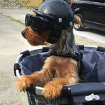 Kask dla Psa z Goglami – Bezpieczny Sprzęt na Motocykl i Rower, Regulowane Paski 0