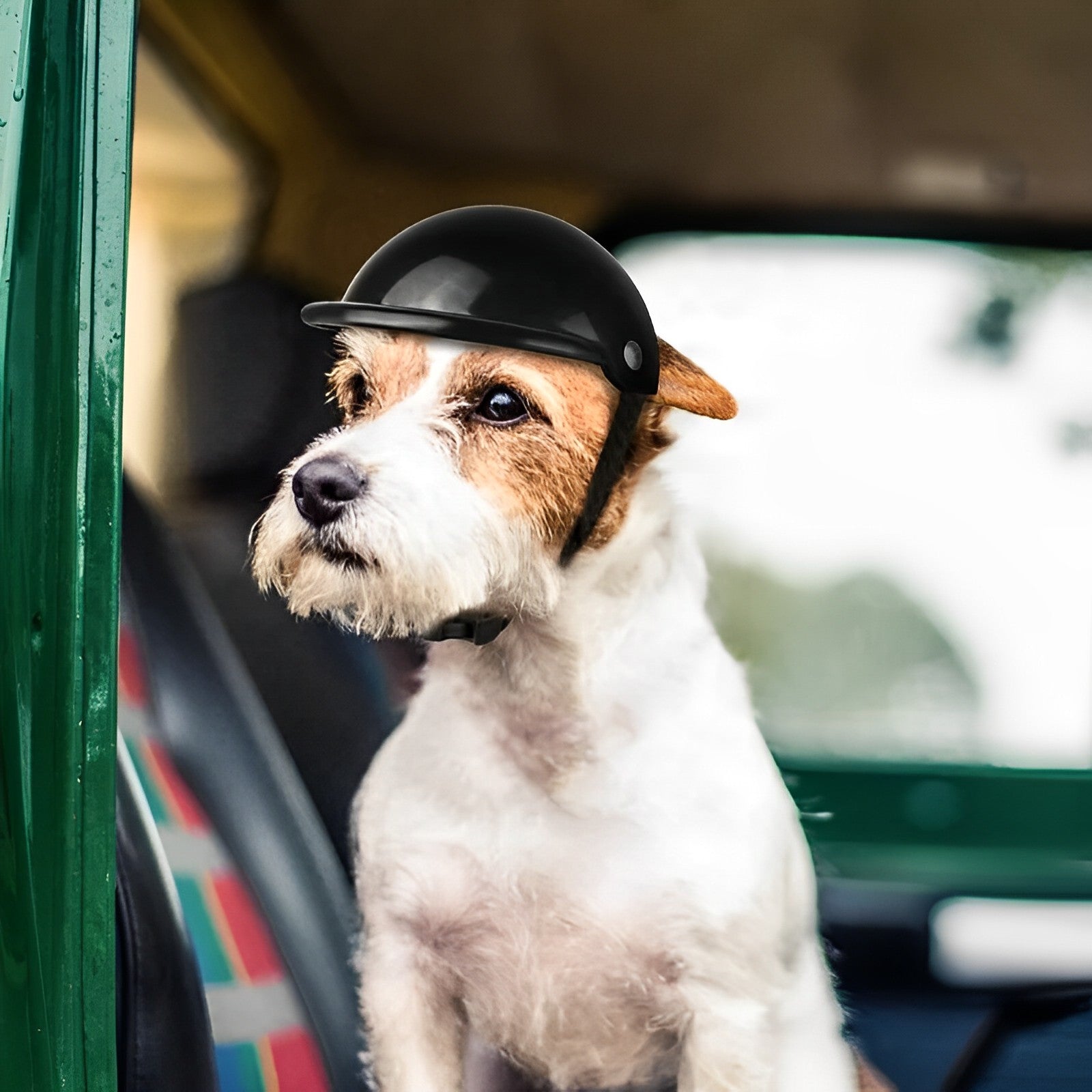 Kask dla Psa z Goglami – Bezpieczny Sprzęt na Motocykl i Rower, Regulowane Paski 1