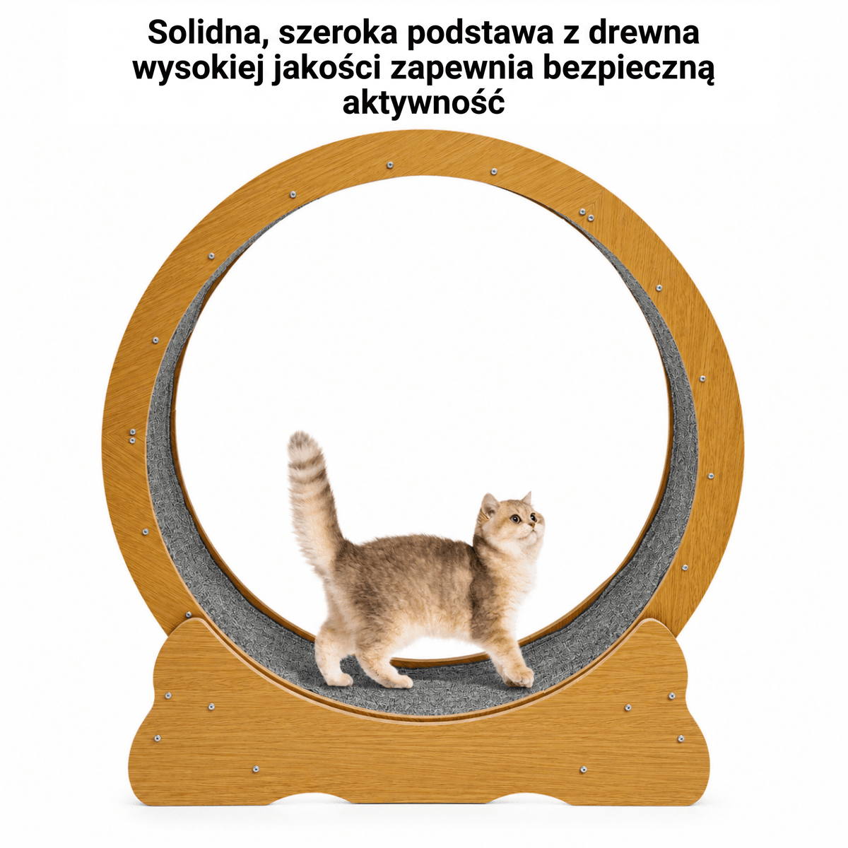 Koło do Ćwiczeń dla Kota 81 cm – Amortyzowane, Ciche z Rolkami
