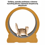 Koło do Ćwiczeń dla Kota 81 cm – Amortyzowane, Ciche z Rolkami