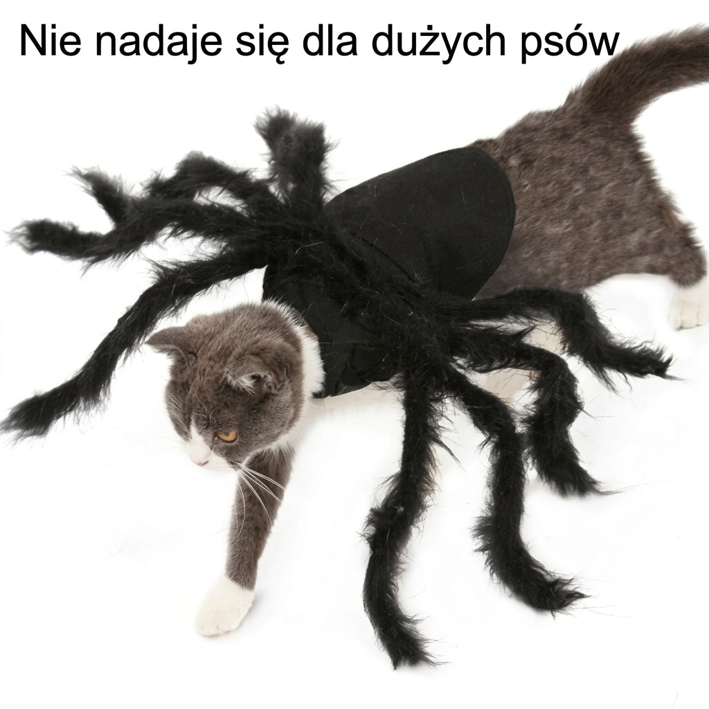 Kostium Pająka dla Zwierzaka – Regulowany, Miękki Materiał, Realistyczne Nogi 3