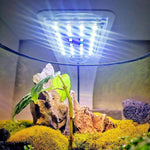 Lampa LED do Akwarium z Naturalnym Światłem – Ultra Cienka, Wodoodporna IPX7 7