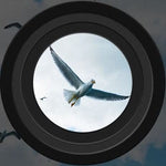 Lornetka Noktowizyjna Dalekiego Zasięgu z Ekranem LCD i Zoomem 4x 1