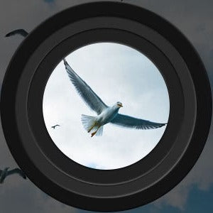 Lornetka Noktowizyjna Dalekiego Zasięgu z Ekranem LCD i Zoomem 4x 1