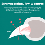 Obcinacz do Paznokci dla Psa i Kota z Oświetleniem LED – Bezpieczne Przycinanie z Antypoślizgowymi Uchwytami
