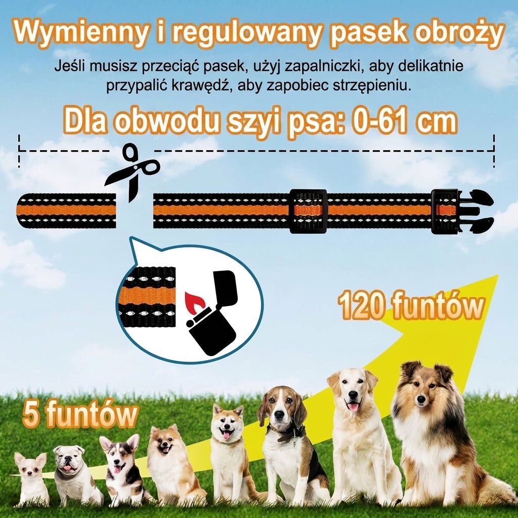 Obroża elektroniczna do zdalnego szkolenia psów z zasięgiem 1000 m i 3 trybami pracy 5