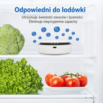 Oczyszczacz Powietrza Przenośny z Ozonem – Skuteczny Eliminator Zapachów do Samochodu i Lodówki