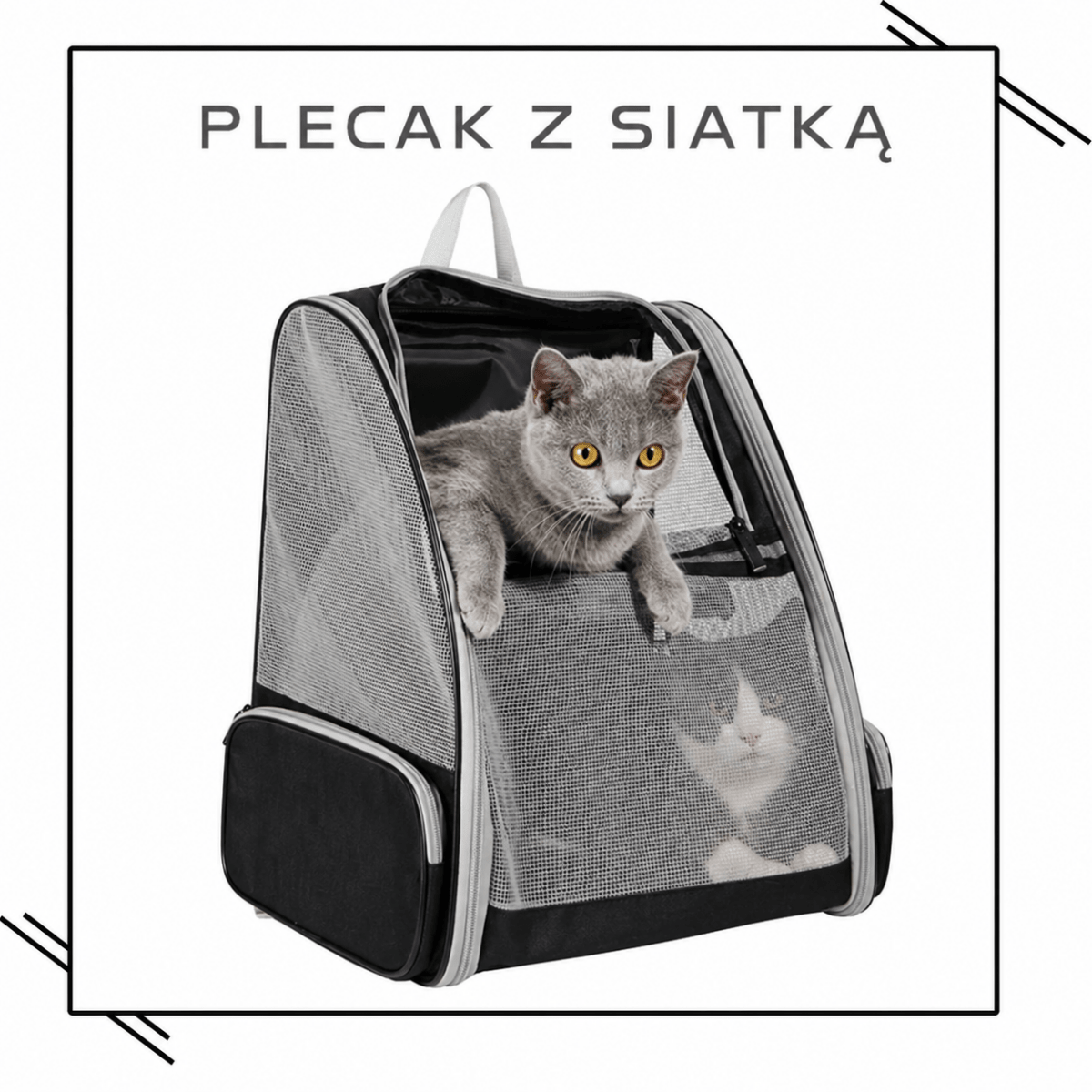 Plecak Dla Kota z Okienkiem 180° – Wygodne i Bezpieczne, Do 8 kg
