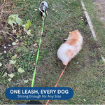 Podwójna Smycz Dla Psa 10FT Z Latarą, Uchwyt Na Worek, Obrotowa 360° 7