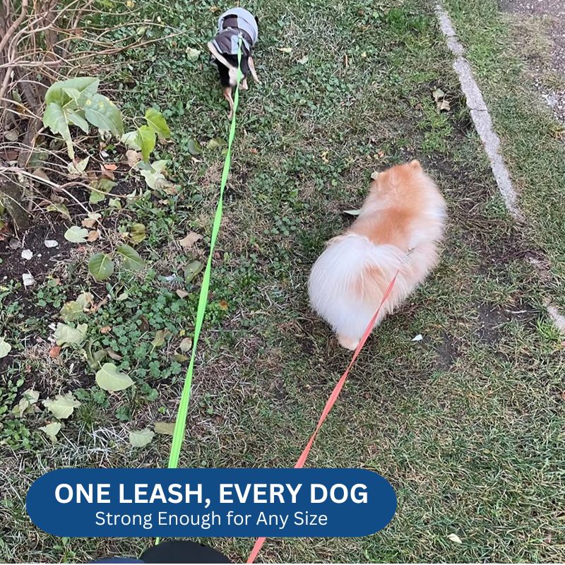 Podwójna Smycz Dla Psa 10FT Z Latarą, Uchwyt Na Worek, Obrotowa 360° 7