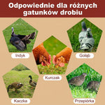 Poidło dla Kur z Automatycznym Uzupełnianiem Wody – Zestaw 10 Poidel dla Drobiu 8