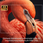 Projektor 4K z Androidem 11 i 3200 lumenów – Rzutnik Multimedialny do Kina Domowego i Prezentacji 5
