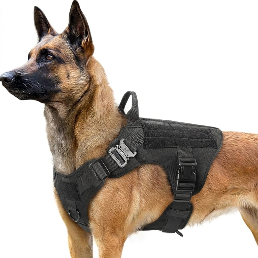 Szelki dla Psa Regulowane – Taktyczne Nylon 1050D z Systemem Molle i Uchwytami 1
