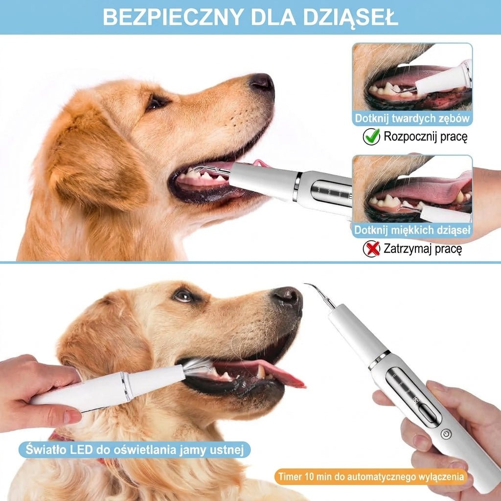 Ultradźwiękowy Irygator Do Usuwania Kamienia Nazębnego U Psa – Z Oświetleniem LED, Cicha Praca 9