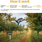 Ultradźwiękowy Odstraszacz Gołębi - Skuteczna Ochrona Ogrodu Na Ptaki IPX4 2