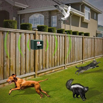 Ultradźwiękowy Odstraszacz Ptáków z LED - Skuteczna Ochrona Ogrodu, Ekologiczny Straszak na Ptaki 5