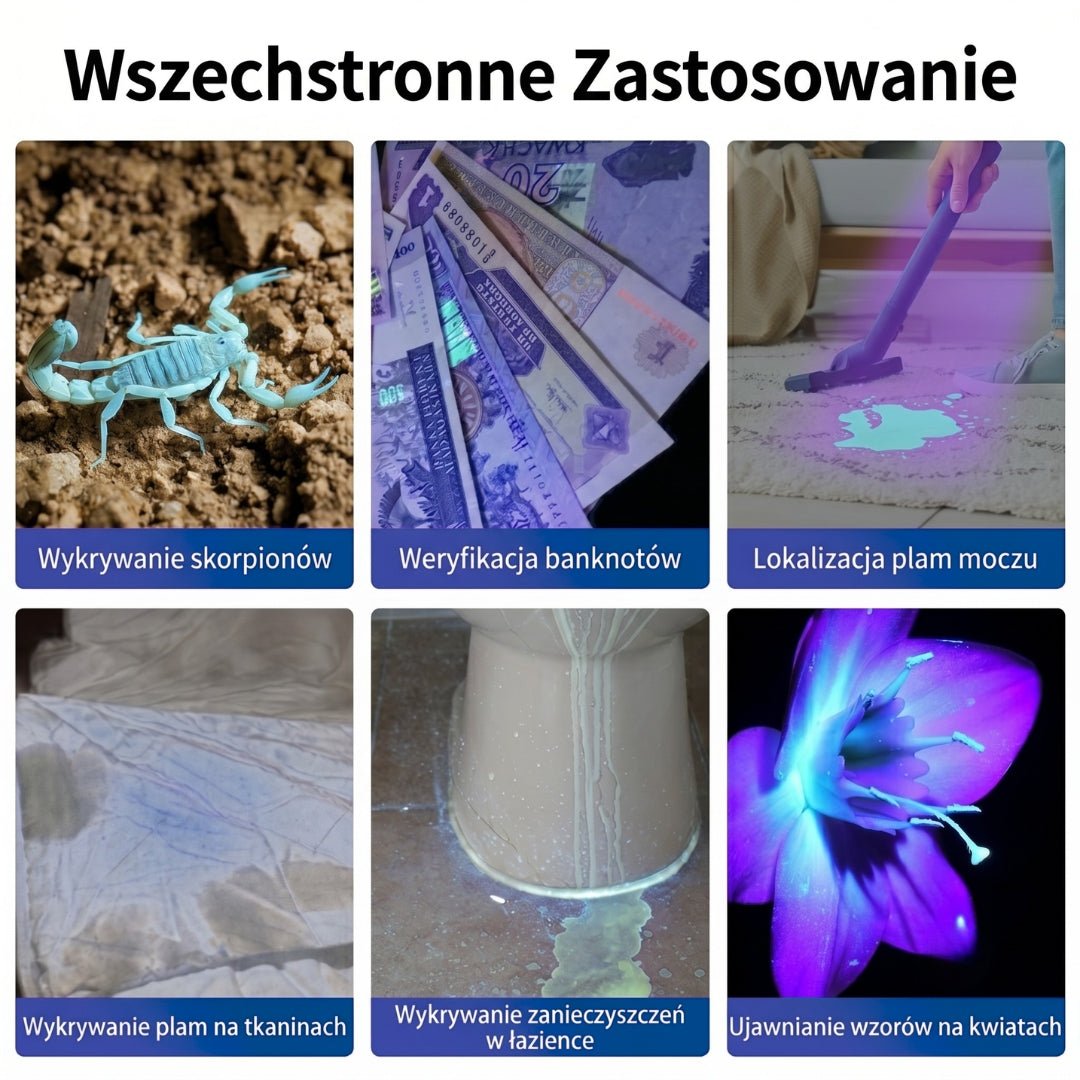 co możesz zobaczyć za pomocą latarki UV z akumulatorem i zoomem - mocna latarka do wykrywania moczu i plam