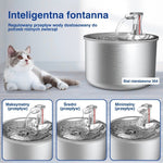 Elementy automatycznej fontanny obok kota
