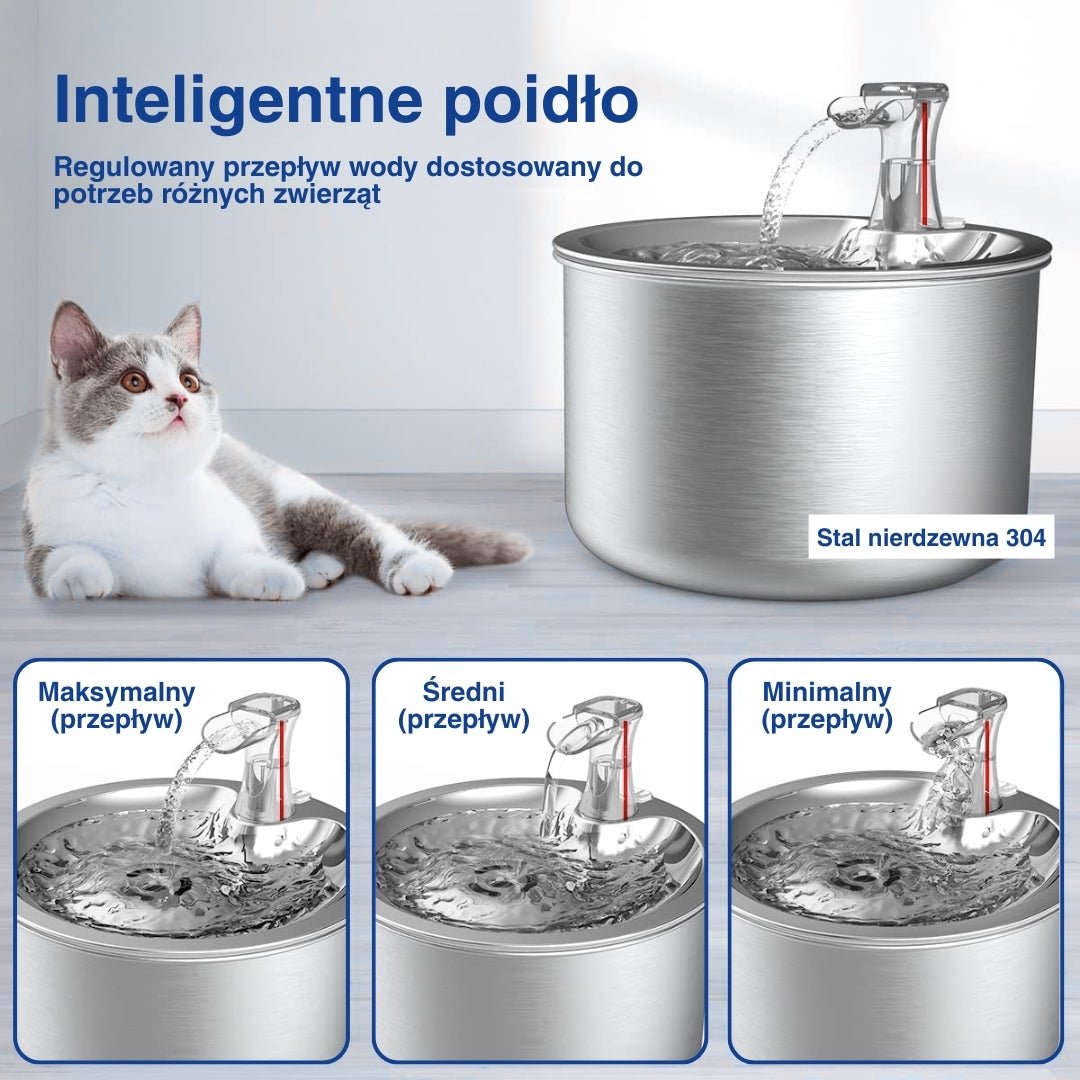 Elementy automatycznej fontanny obok kota